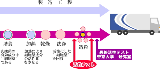 製造工程　免疫乳酸菌（EF-2001）ＪＩＮ