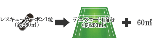 レスキューカーボン（活性炭）　吸着面積　≪腎臓病・腎不全の特殊食品の店　ネフロン≫